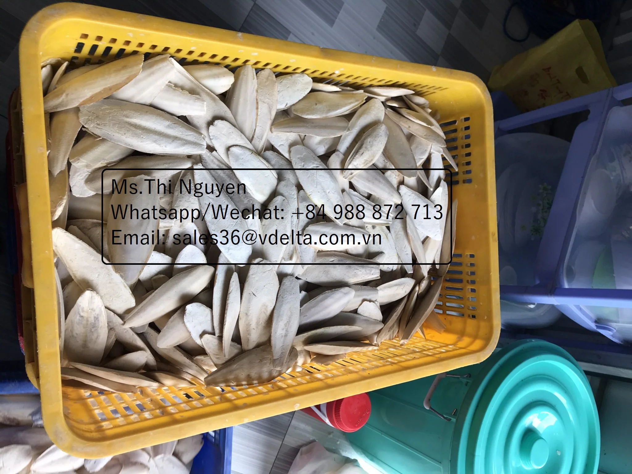 Высушенная мытая Рыбная кость-лучшая еда для птиц и животных/Ms.Thi Нгуен + 84 988 872 713