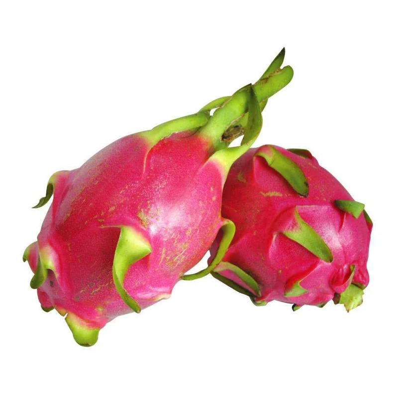
The Top Cheap Price For White Dragon Fruit Shipping From Turkey Have Light Sweeten Taste 