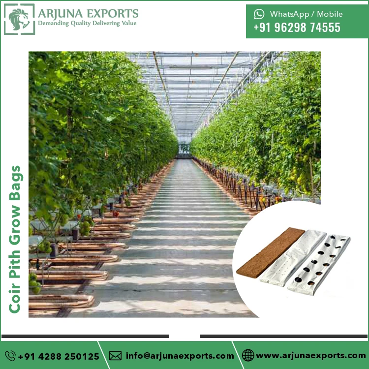 Bulk Quantity Coco Coir Pith Substrate Grow Bags for Home Greenhouse Planters and Balcony Strawberry Cultivation