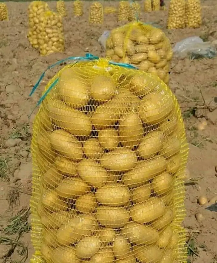 Свежий картофель