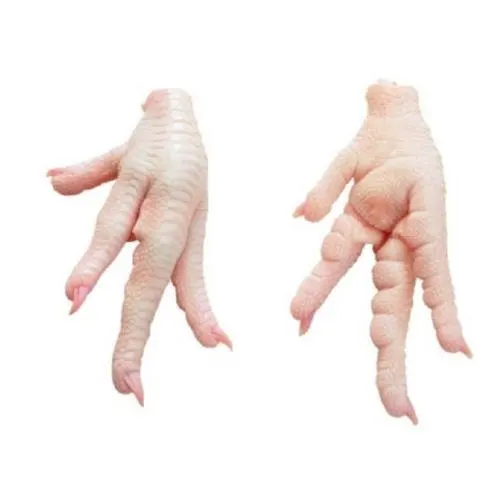  Processed Frozen Chicken Feet Paws