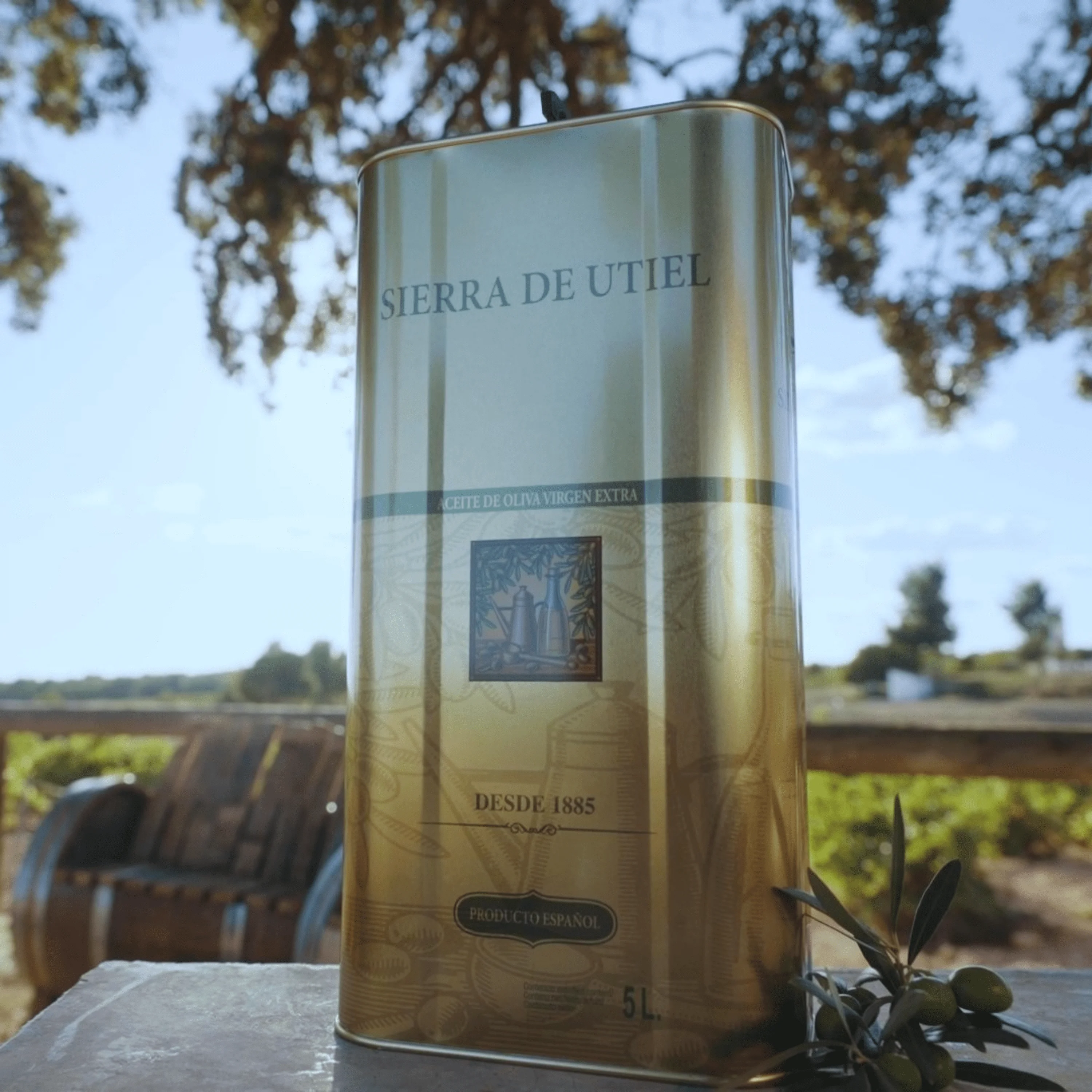 Sierra de Utiel, Extra Virgin Olive Oil 5 liter Gourmet Tin, first cold pressed Spanish Olive Oil