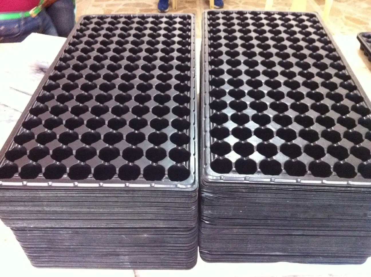 Seedling-Trays-128-1.jpg