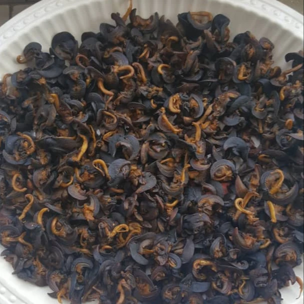 
Whoesale / Bulk Dried African Snails 