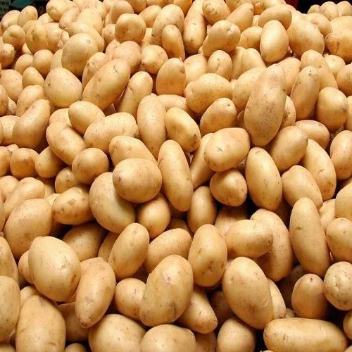 Quality Fresh Potato at Wholesale Price