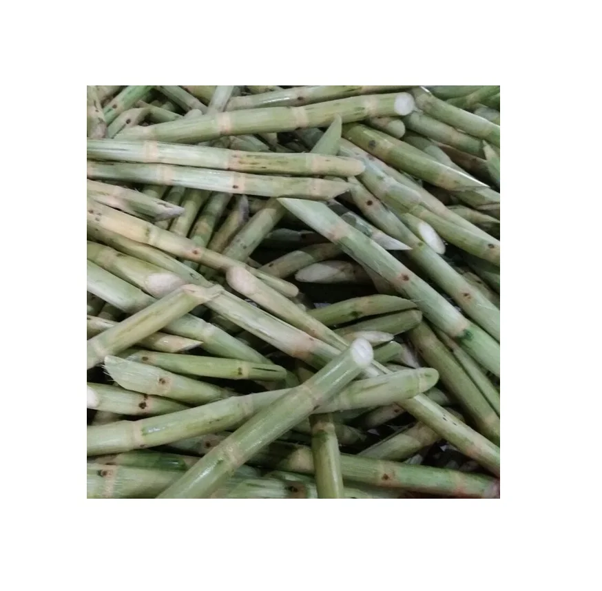 Популярный товар свежий сахарный тростник для вкусного сока замороженный экспорт из