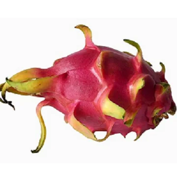 Белый дракон плод фрукты Высокое качество свежий и конкурентоспособная цена на экспорт 2021/100 Новый Свежий Супер вкусный вкус