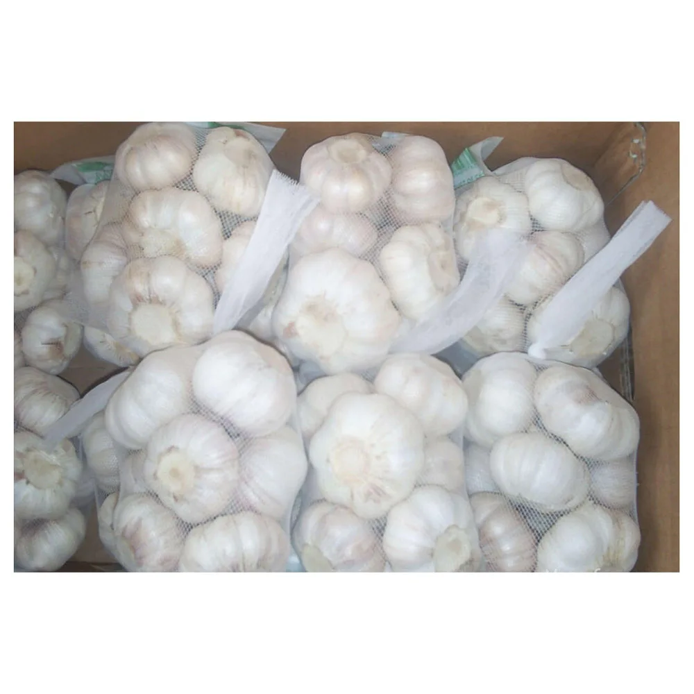 
 Свежий белый чеснок для продажи оптом, свежий чеснок  