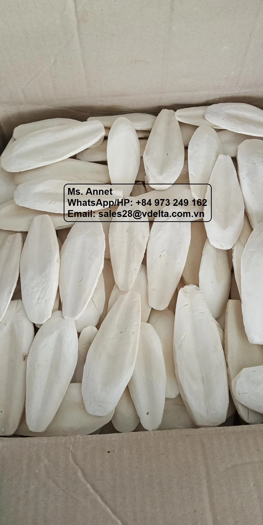 Vietnam Cuttlefish Bone for Pet feed/ Bird feed / Jenny +84 905 926 612