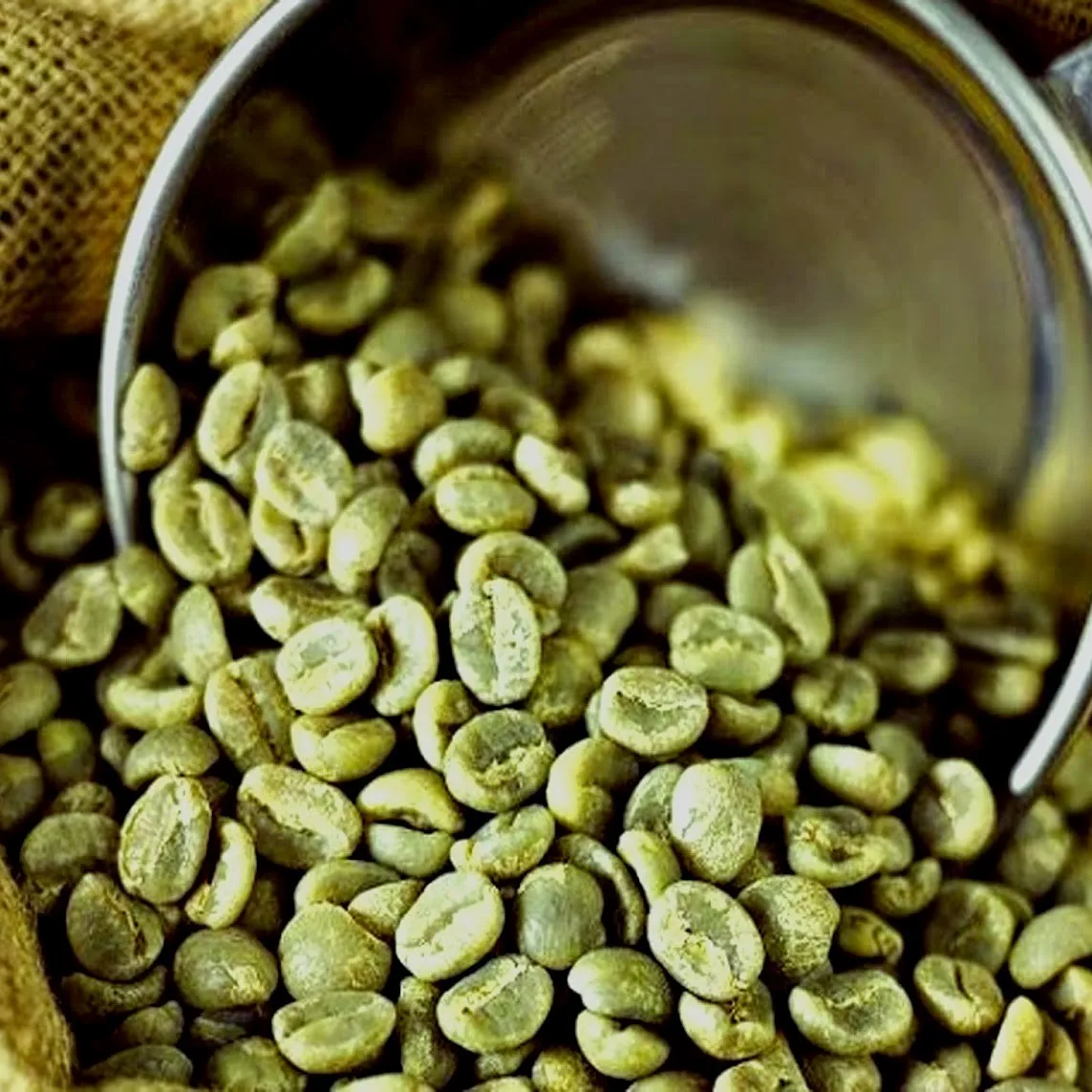 Оптовая цена кофейные зерна арабики 100% Органический кофе от вьетнамского агробренда