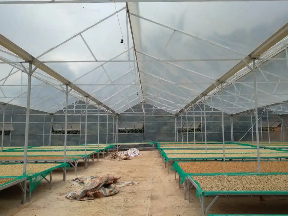 Высококачественные кофейные зерна Arabica Robusta, Вьетнам