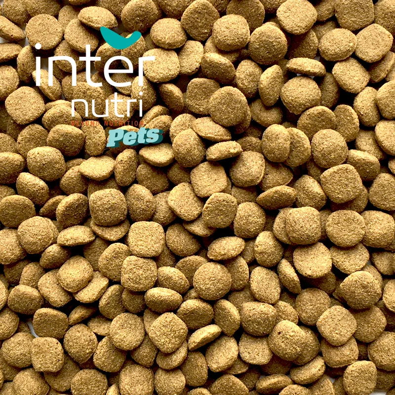 Dry food for adult dogs of all breeds | INTERNUTRI ADULT 4KG