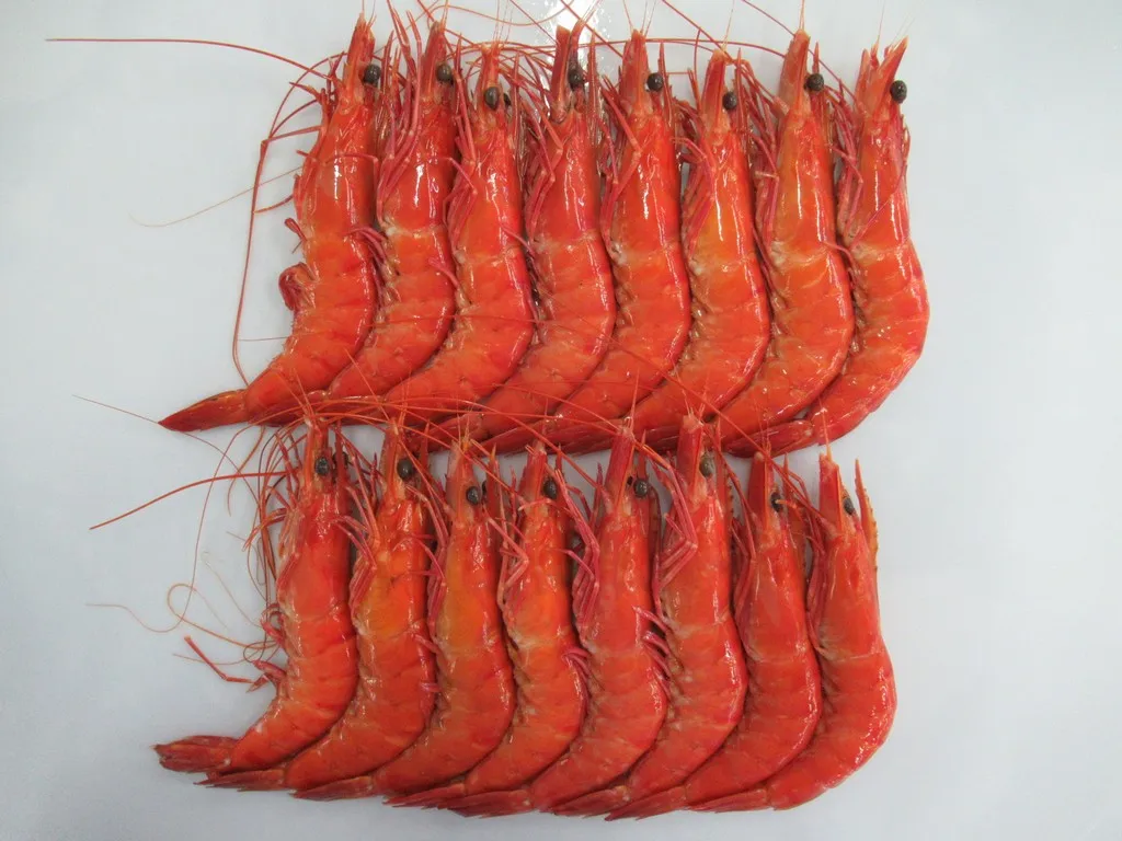 High quality Wholesale Raw HOSO Vannamei Shrimp Head On Shell On  Vietnam Fresh Seafood ready to ship, export