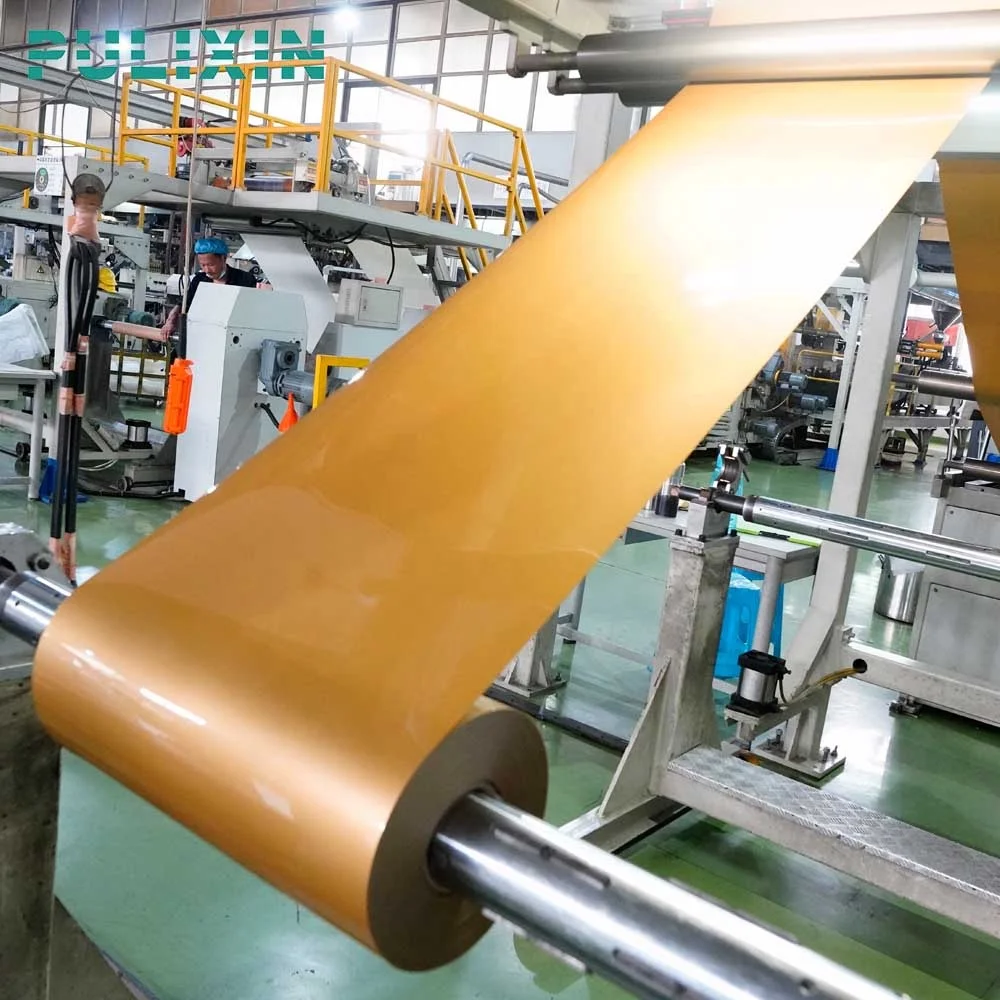 Gold color PP polypropylene  plastic sheet roll for thermoforming tray packing