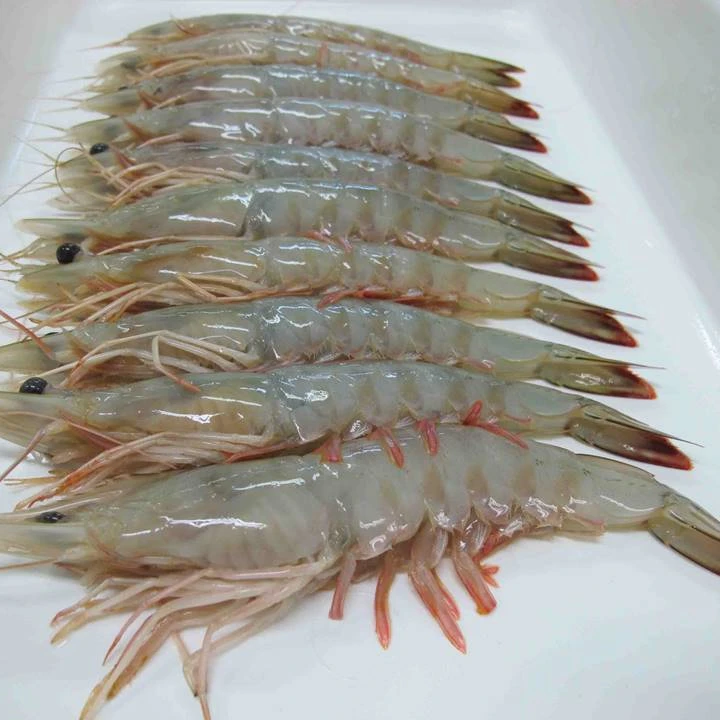 King Prawns, White Shrimps, Black Tiger Shrimps for sale