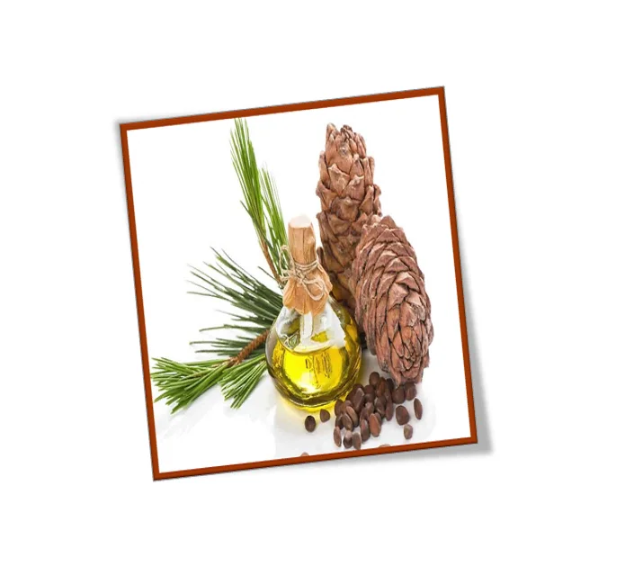 Certified Cedarwood Essential Oil 100% Pure and Natural at low price By Indian Manufacturer and Suppler