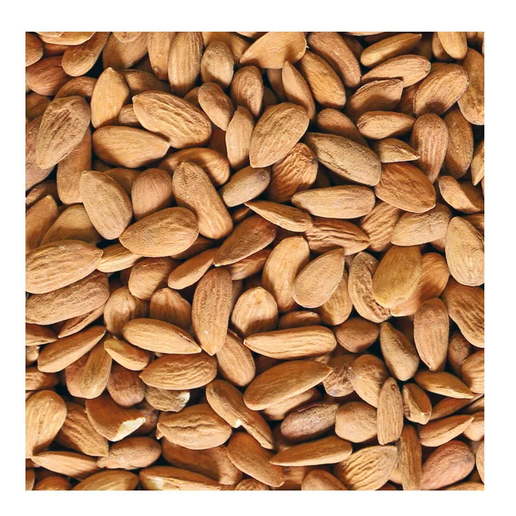 
Best Price Top Grade Bulk Wholesale Almond Nuts / Raw Almond Nuts / Roasted Almond Nuts 