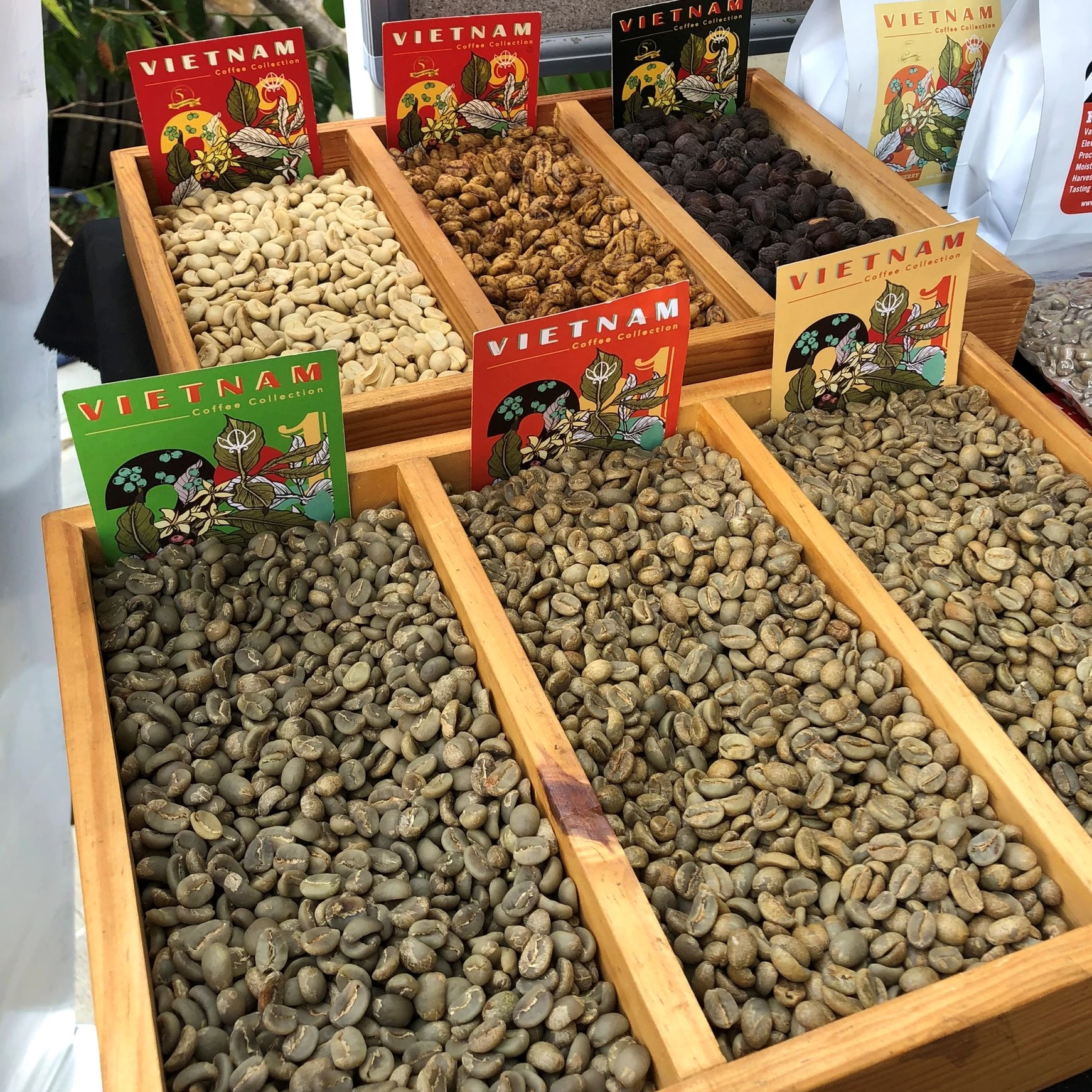 Высокое качество, конкурентоспособная цена, сертифицированные продукты, Арабика, зеленые кофейные зерна с сроком годности 12 месяцев