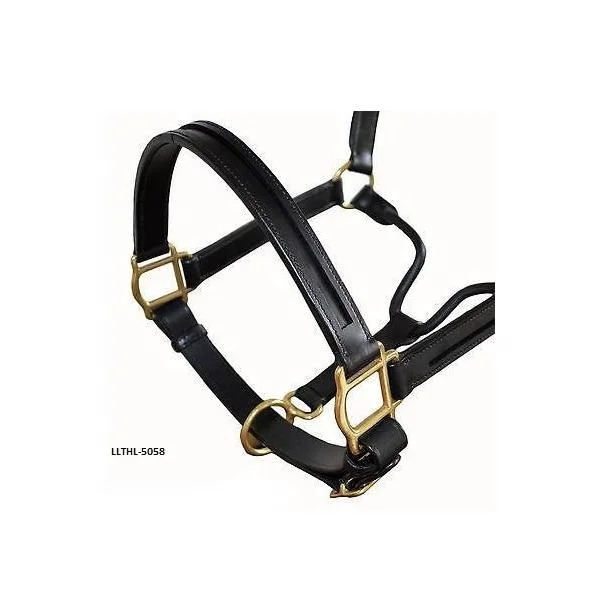 Colorful Padded Leather Luxury Style Horse Halter Head Collar