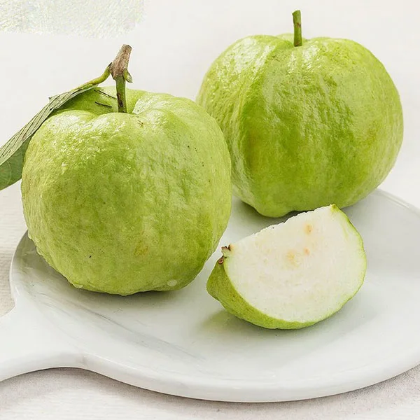 
Wholesale litte fresht guava seeds Vietnam export with the best price new seasson crop 2020 