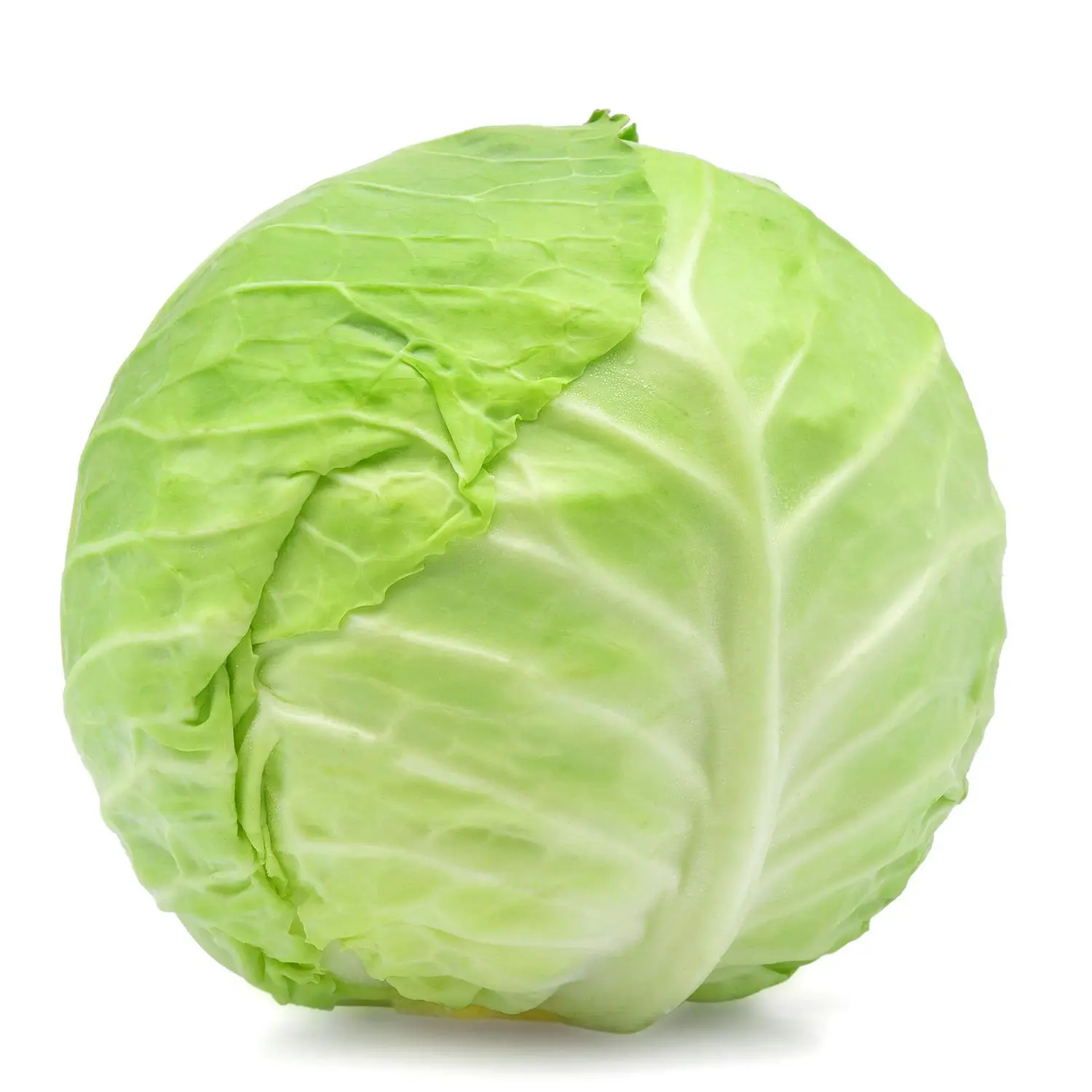 New crop of Chinese fresh vegetables round cabbage price for export