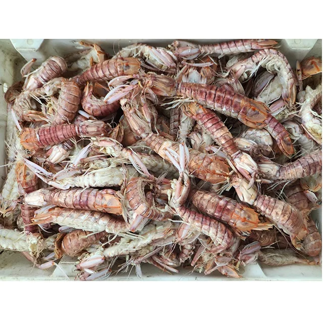 Hot Selling Raw Fresh Natural Seafood Food Air-Dried Debris Mantis Shrimp For Cook From Private Label In Vietnam