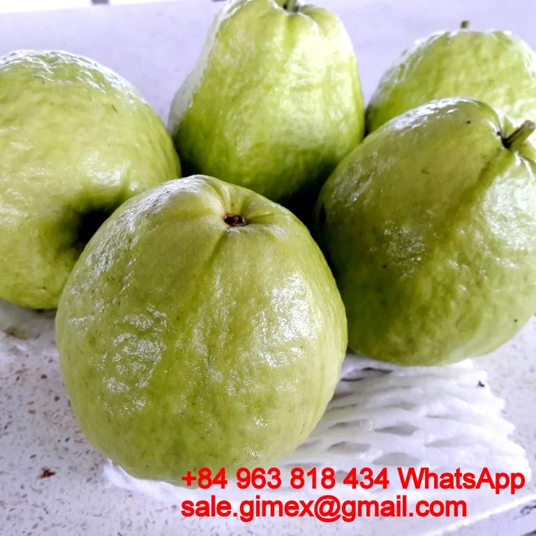 Свежий сладкий гуава + 84963818434 whatsapp