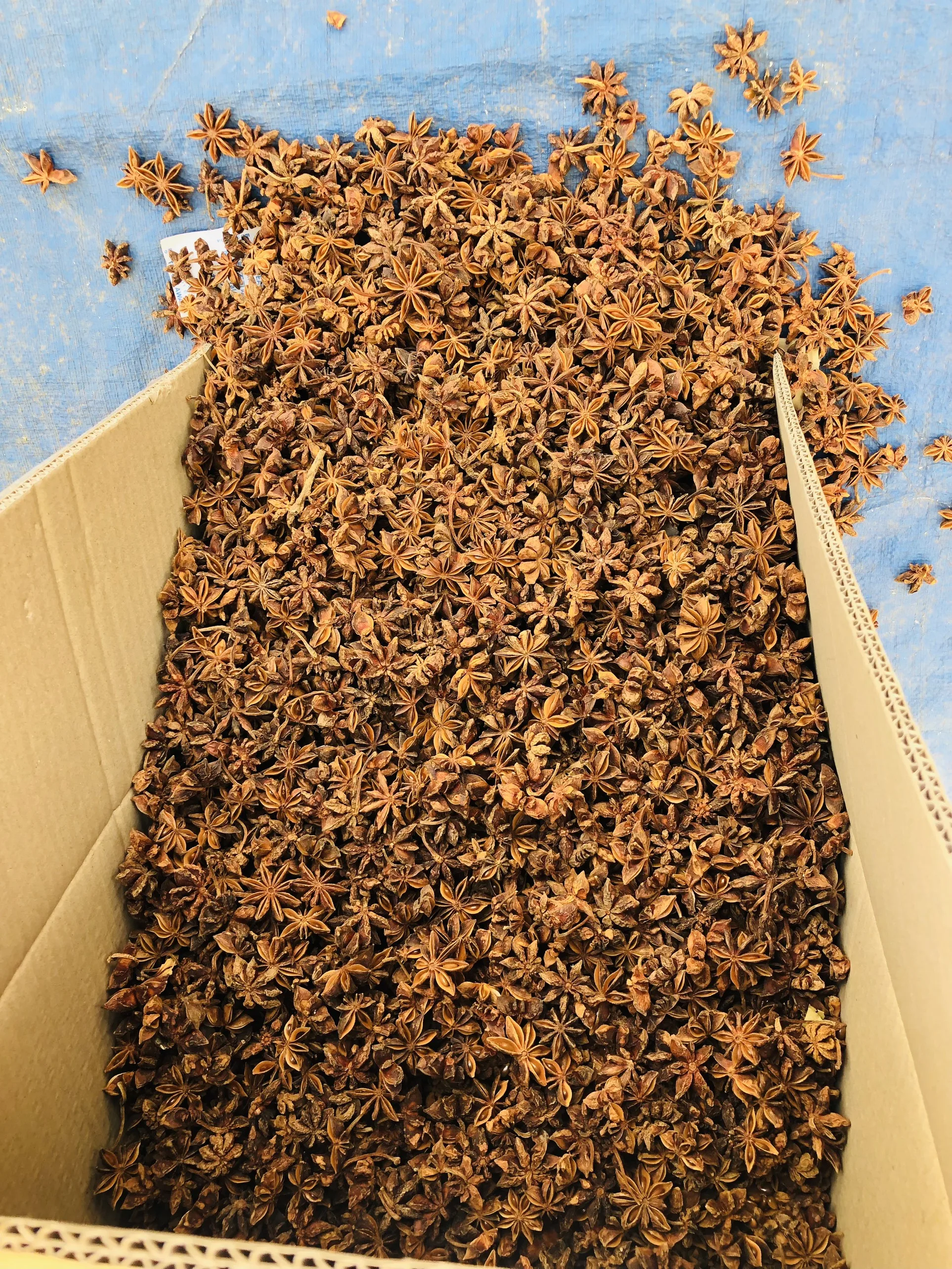 WS +84359166896 No.1 Vietnamese Star Anise With High Oil Content And Super Dry Ready To Ship New Crop Best Choice Good Price