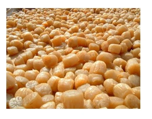 Hot Sell New Season Scallop - high quality dried scallop for soup from vietnam