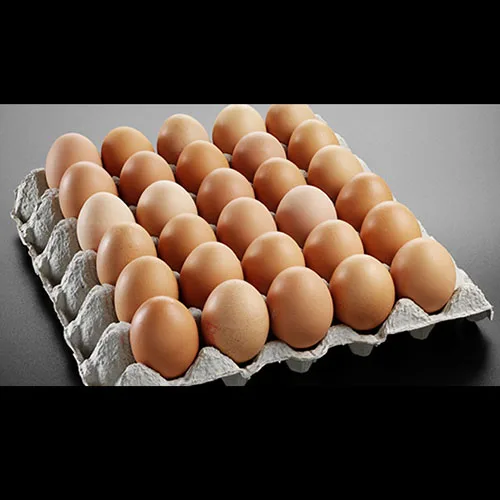 Fresh Chicken Table Eggs/Fresh Chicken Hatching EGGS At Good Prices