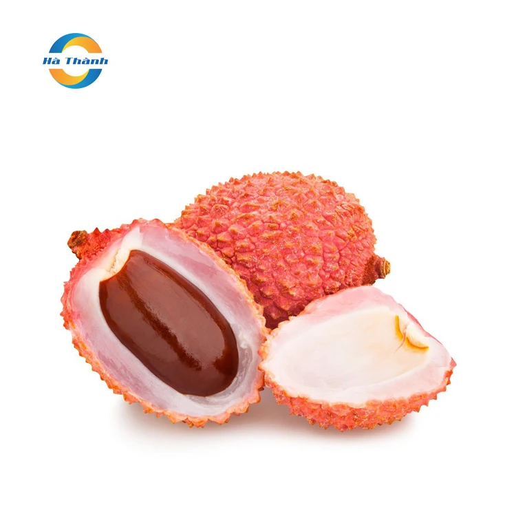  Сырье личи для высококачественного консервированного номер 1 во Вьетнаме