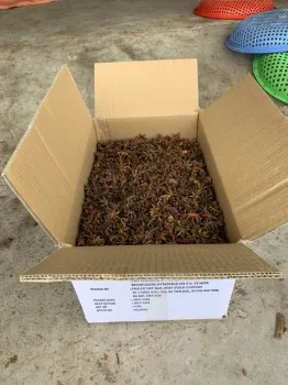 VIET NAM STAR ANISE GOOD QUALITY BEST PRICE FROM MANUFACTURER Ms Lynn +84 333 421 999