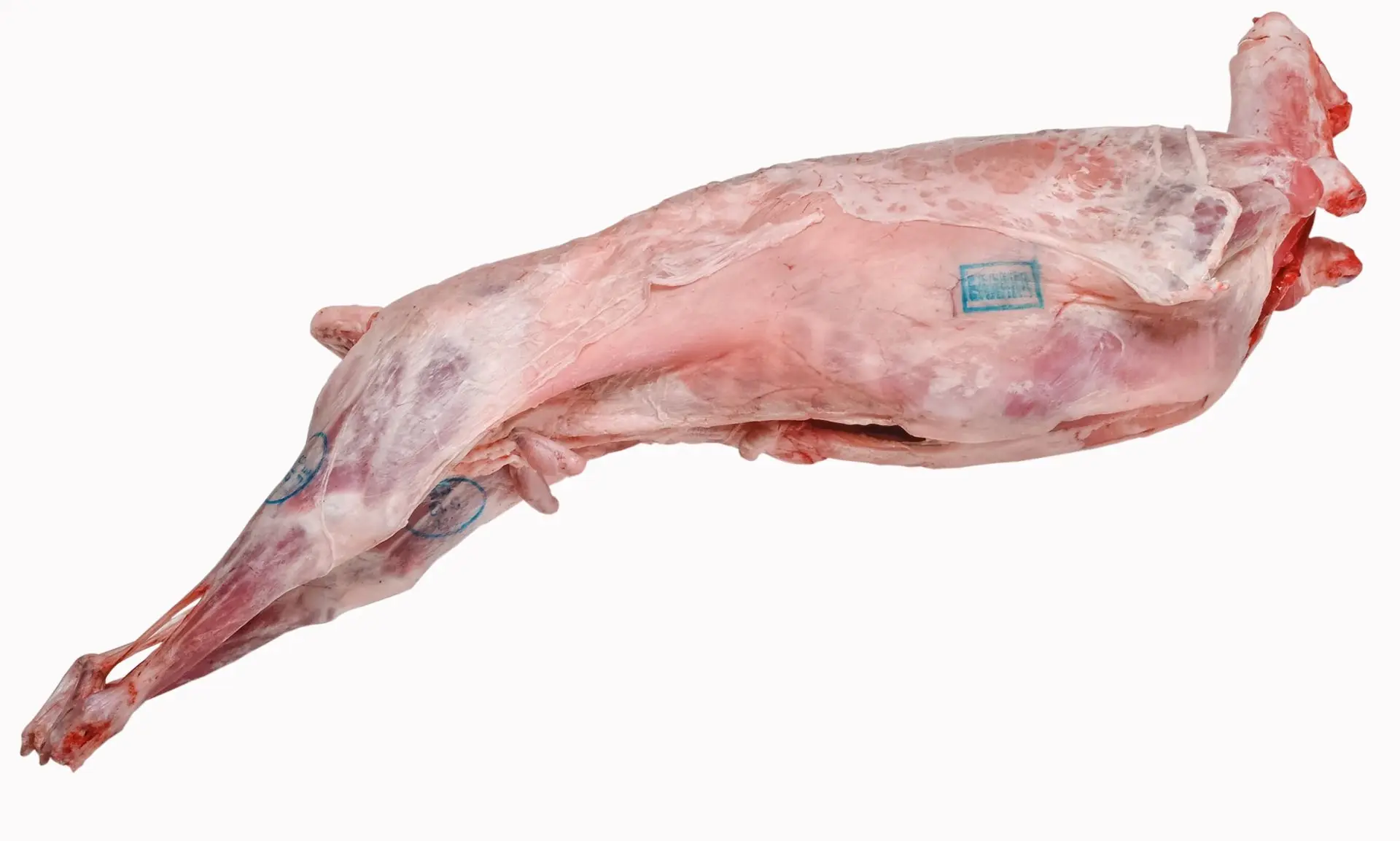 Halal Whole Freshly Frozen Whole  Mutton Carcass/ Sheep / Lamb / Goat Meat and Parts USA & Austria Origin