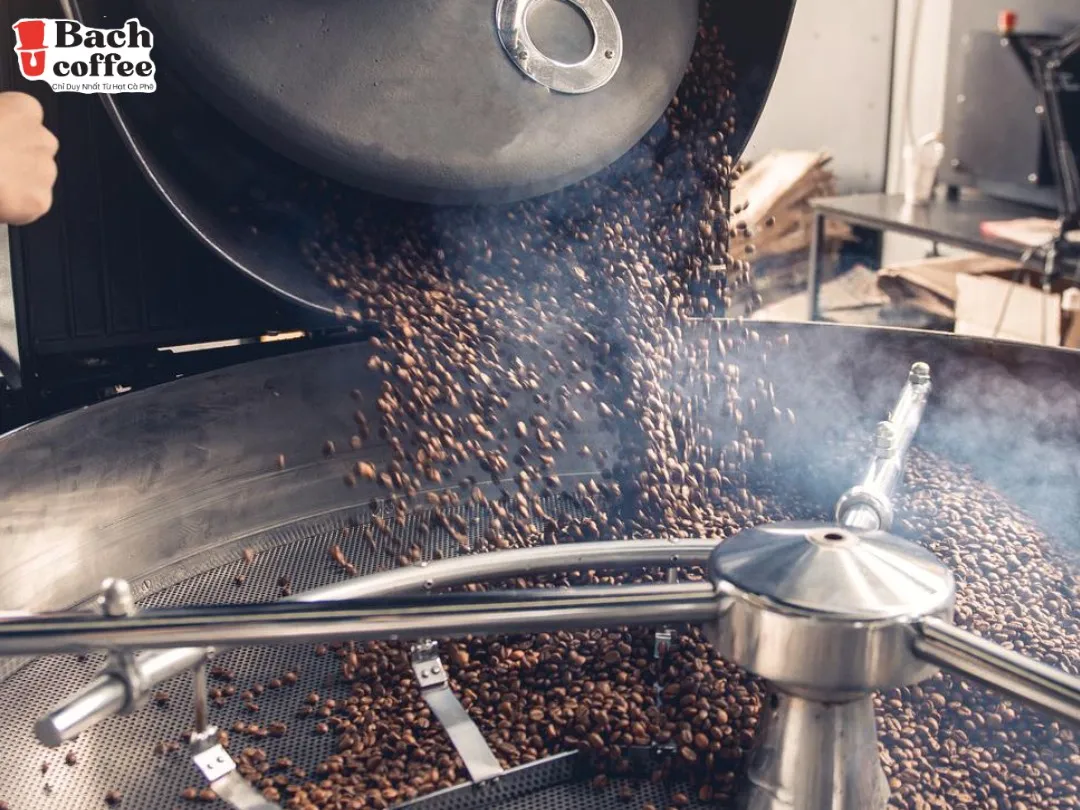 
100% Peaberry Coffee Beans/ Hand -Selected / Small batch / Handmade Roasting / OEM design 