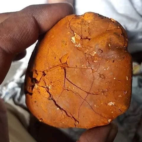 TANZANIAN Wholesale Cow Gallstone for Sale