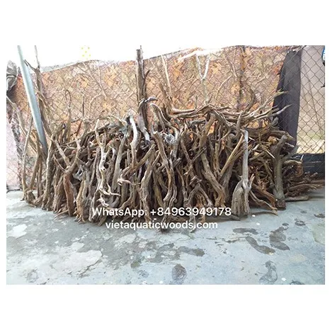 Hot sales 2024 Natural Trunk Driftwood Tree for Aquarium Fish Tank Decoration Ornament Landscape WhatsApp: +84 961005832