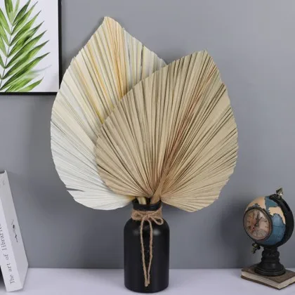 Сушеные сохраненные белые Пальмовые Листья 50-60 см для предложения украшение дома и свадьбы
