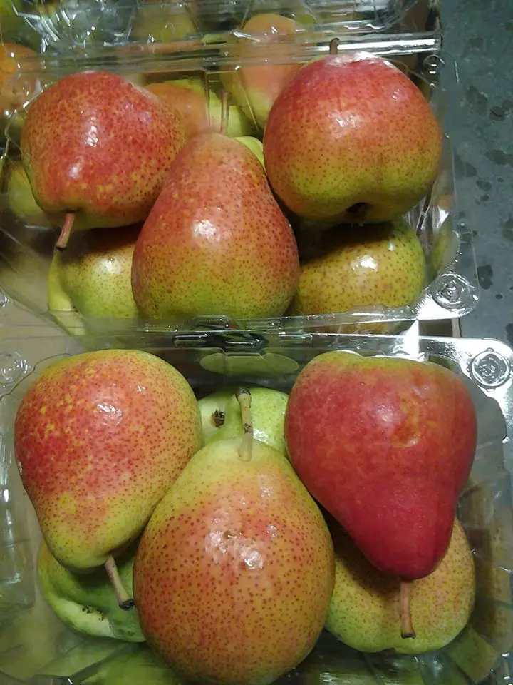 Fresh Pears