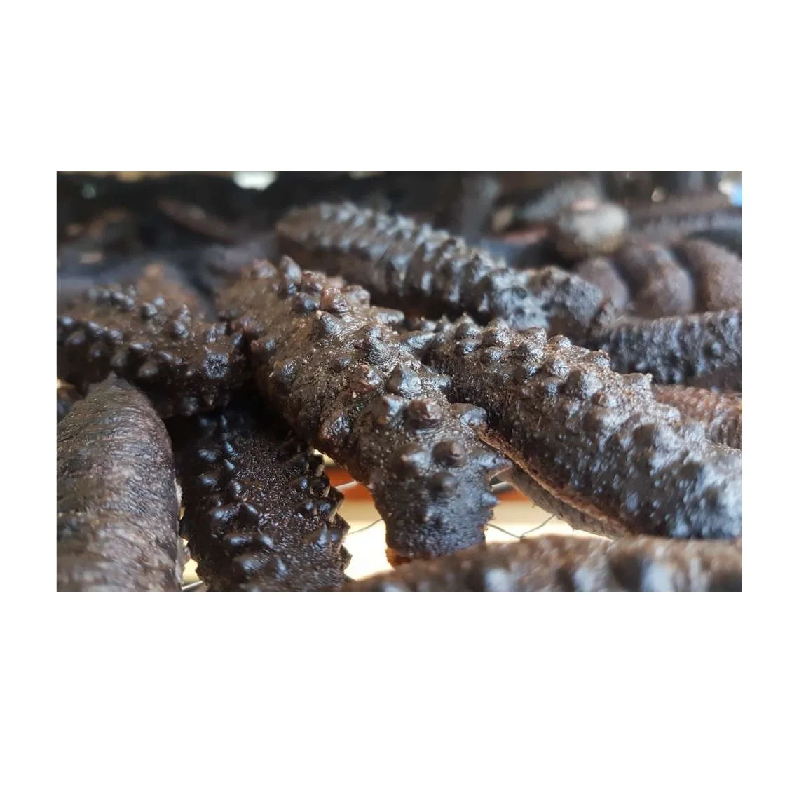 HIGH NUTRITION DRIED SEA CUCUMBER HIGH QUALITY WHITE TEAT FISH FROM VIETNAM SUPPLIER