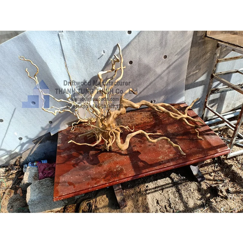 Горячие товары 2024 натуральный коряги для Аквариума Декор Фон WhatsApp + 84 937 545 579