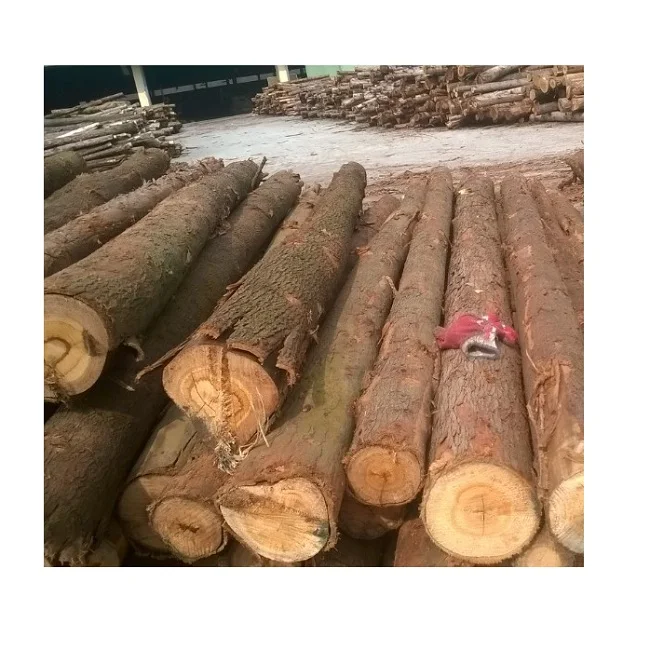 Самая дешевая цена 100% деревянный эвкалипт из Вьетнама