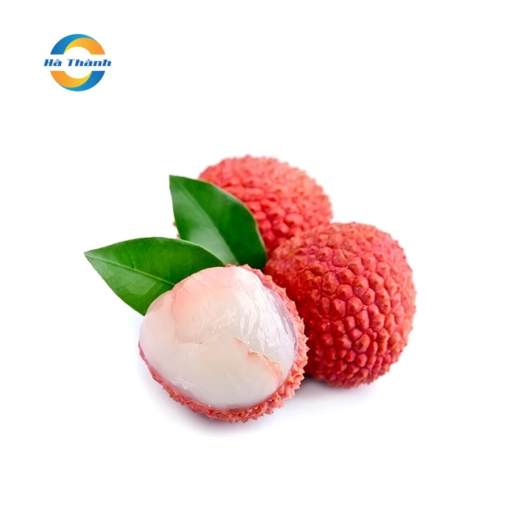  Сырье личи для высококачественного консервированного номер 1 во Вьетнаме