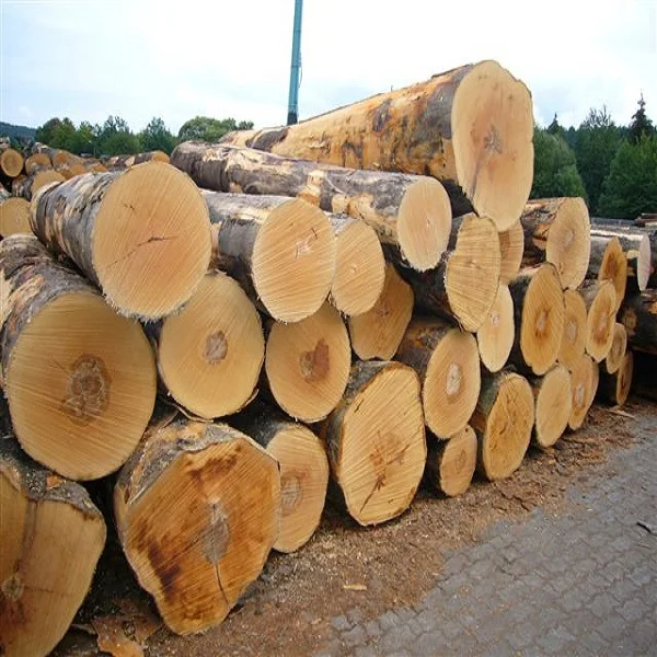 European Beech Round Logs