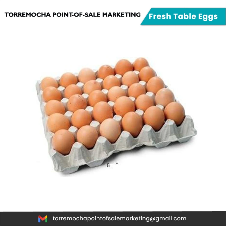 Wholesale Price Best Selling Superior Quality Huge Sale on Fresh Table Eggs from Reputed Supplier