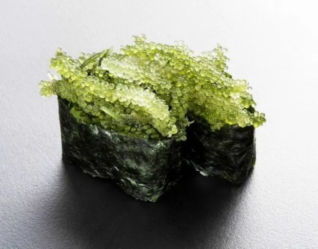  Морской виноград/зеленый морской виноград макроводоросли/посаженный резервуар-высококачественный лато (Ms Деми + 84 961733400)