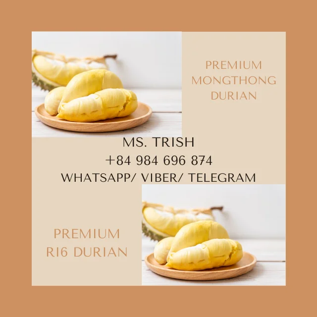 Вьетнам оптовая продажа высокое качество MONTHONG DURIAN/мисс Триш + 84 984 696 874