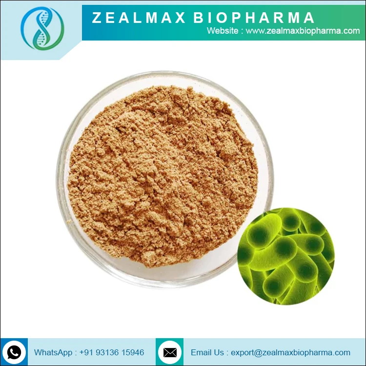Bacillus Subtilis New Arrival Good Price OEM High Quality Bulk Probiotics Bacillus Subtilis Probiotic - Zealmax Biopharma