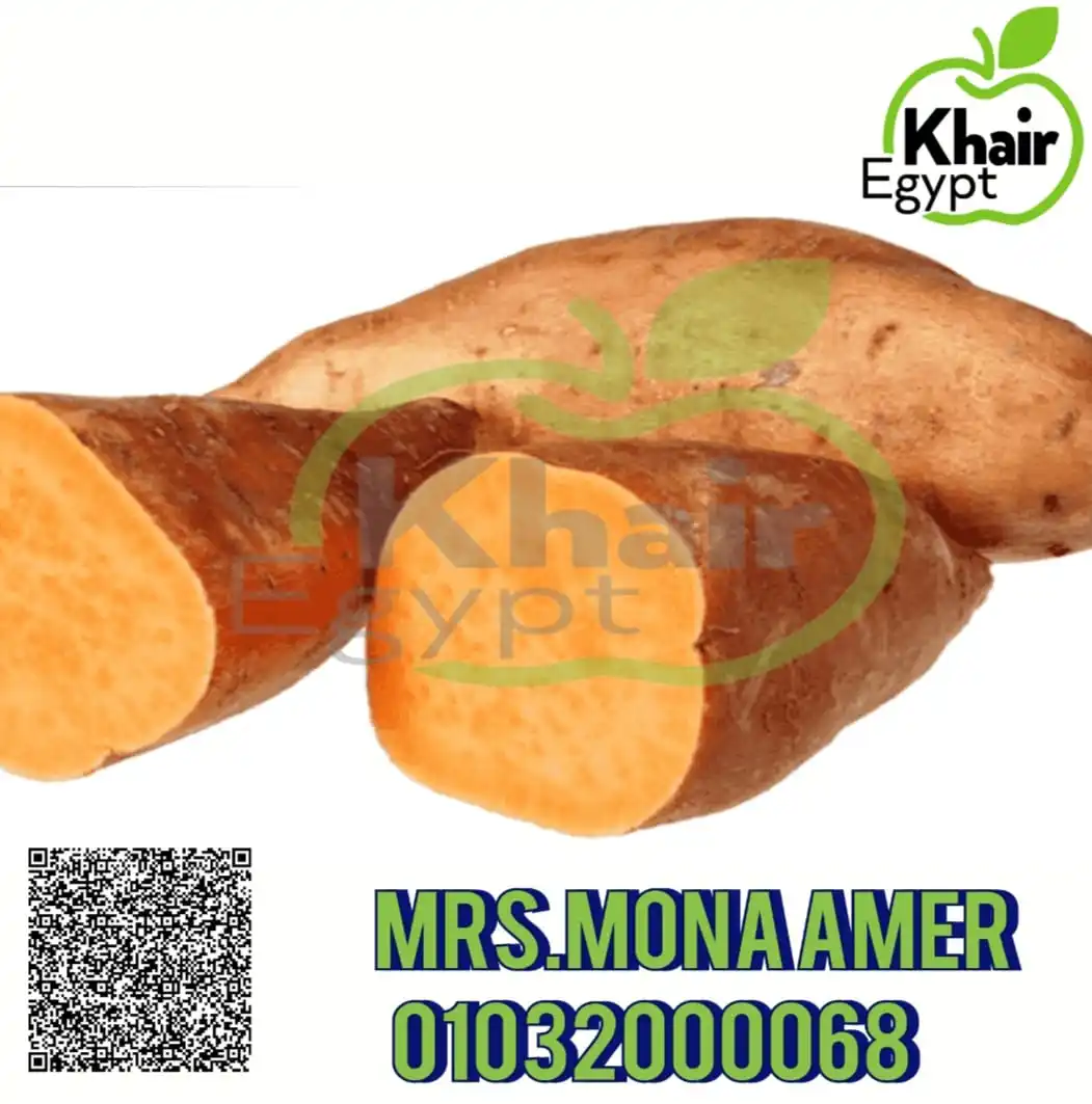 Разнообразный сладкий картофель доступен для экспорта по более низкой цене