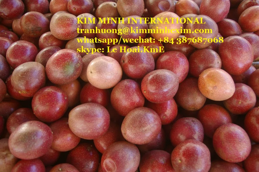 PASSION Fruit COMMON Fresh Passion Fruit Export with Cheap Price