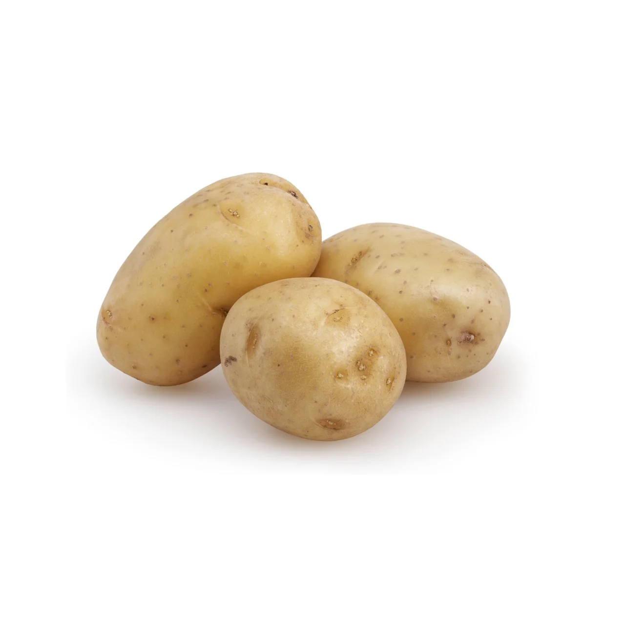 100% Export Oriented New Cultivated Best Quality Fresh Yellow Skin Potatoes With Lowest Price From Bangladesh